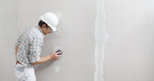 Best Commercial Mold Inspection  in Bellville, OH